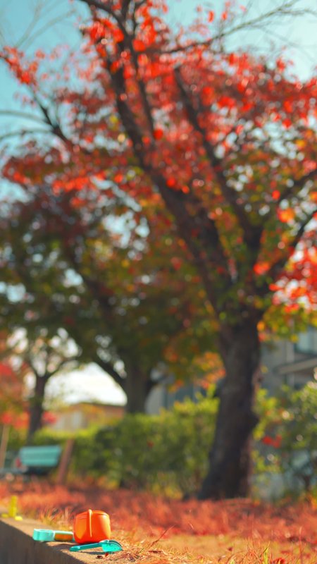 秋の公園で吹くシャボン玉のひととき
0:08 | 2160x3840
#videostrの動画