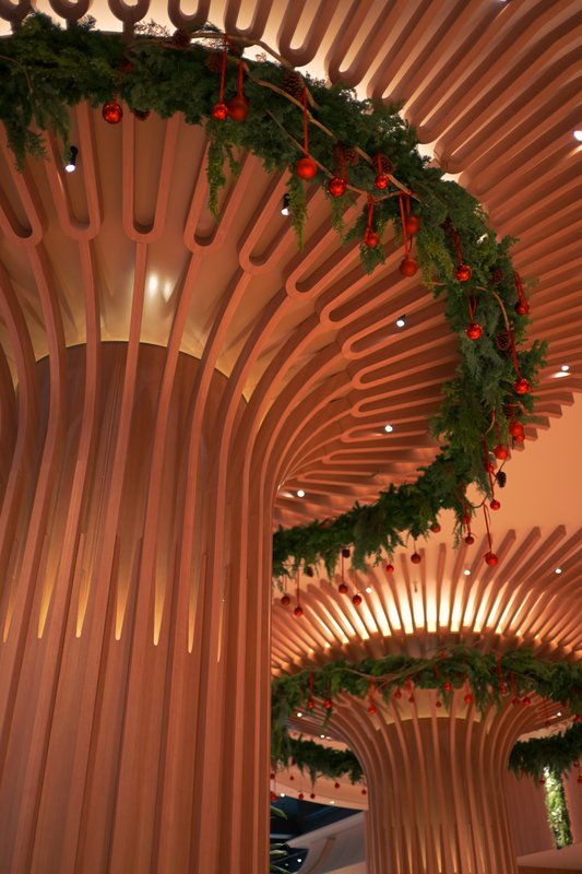 『温かな曲線に包まれたクリスマス飾り』

📸 NIKON ZR + NIKKOR Z 35mm f...の画像