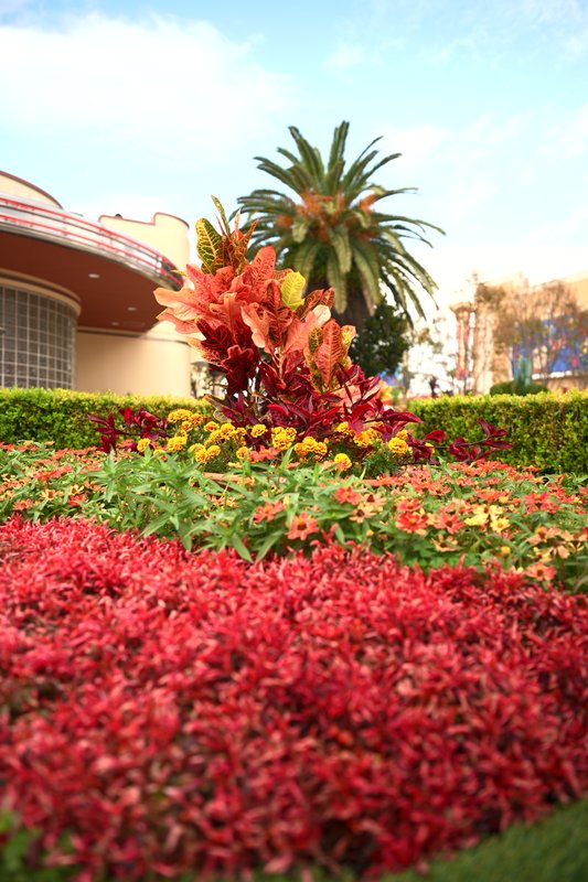 『色とりどりの花が並ぶ陽だまり風景』

📸 NIKON ZR + NIKKOR Z 24-70mm...の画像